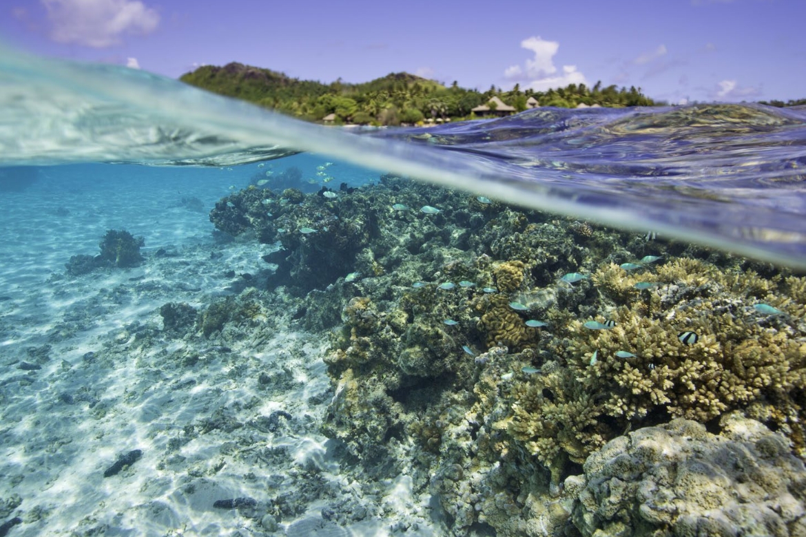 cheapest overwater bungalows in the cook islands